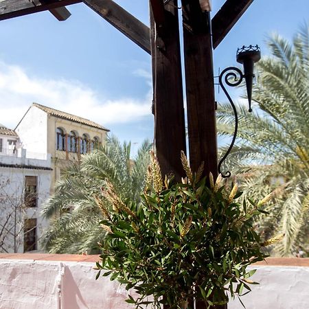 Munda Moon Villa Cordoba Exterior photo